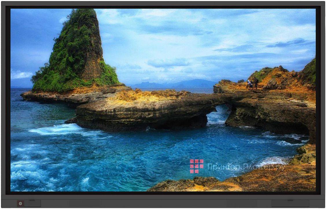 Интерактивная панель Newline TruTouch TT-6518VN (DGS TT-6518VN)