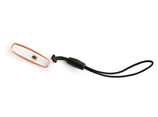 Ярлык прозрачный, ПВХ пластик, 10x28, ICODE2