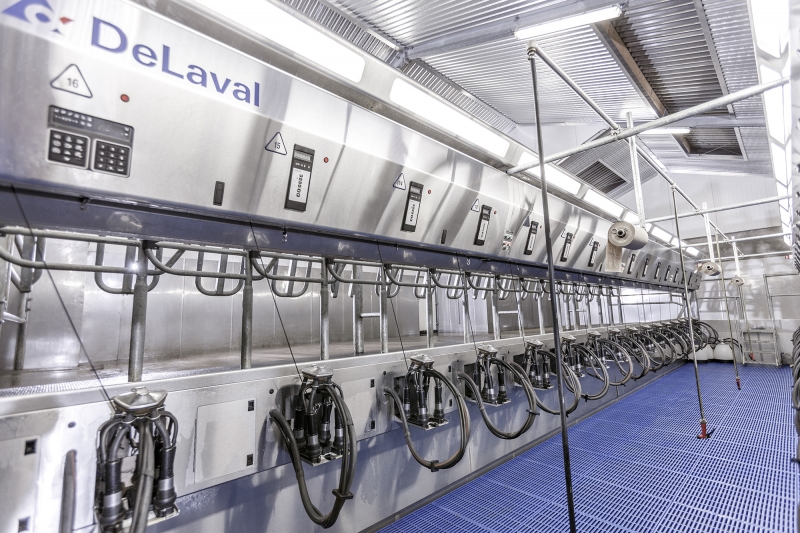 Идентификация коров в доильном зале DELAVAL