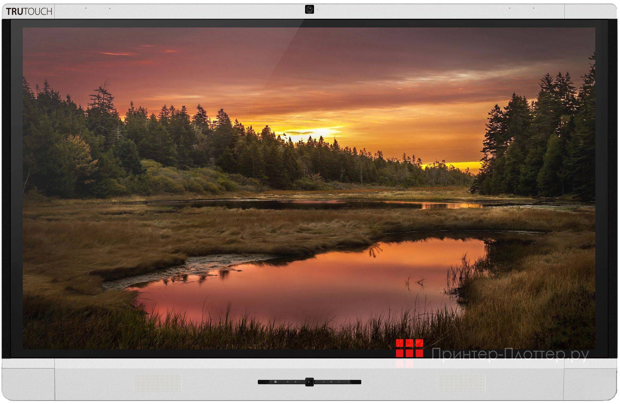 Интерактивная панель Newline TruTouch X9 (DGS X9+S044P832)