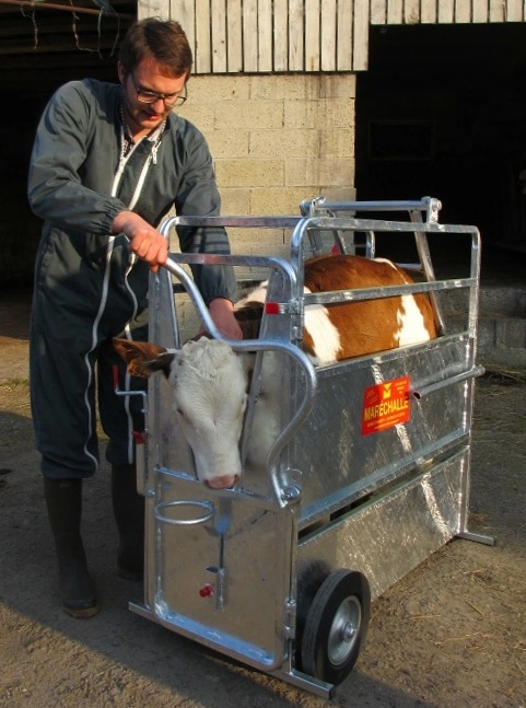 БОКС ДЛЯ УДАЛЕНИЯ РОГОВ PM 170