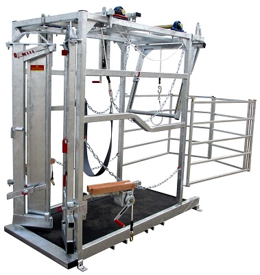 СТАНОК ДЛЯ РУЧНОЙ ОБРЕЗКИ КОПЫТ PM 4300