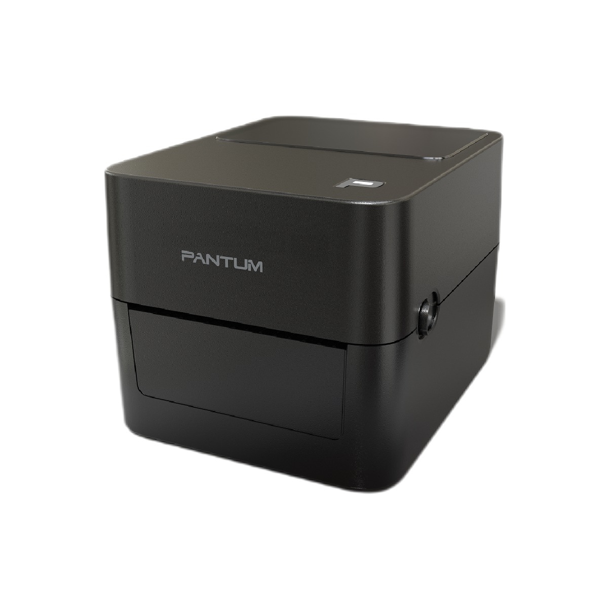 Принтер этикеток Pantum PT-D160, 203 dpi, USB